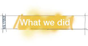 What We Did